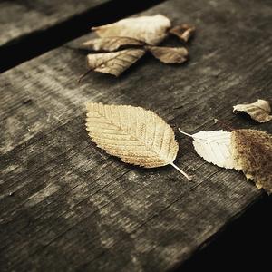 小明白白在线发布
