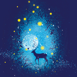 小明白白在线发布
